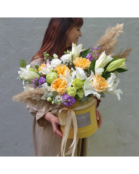 Солнечный блик