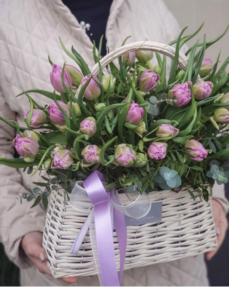 Королевский пурпур